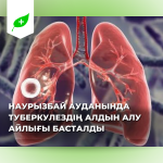 Наурызбай ауданында туберкулездің алдын алуға бағытталған айлық басталды