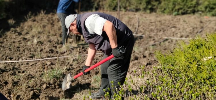 Субботник в рамках акции «Таза Қазақстан»