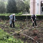 В Городской клинической больнице №1 прошёл очередной субботник.