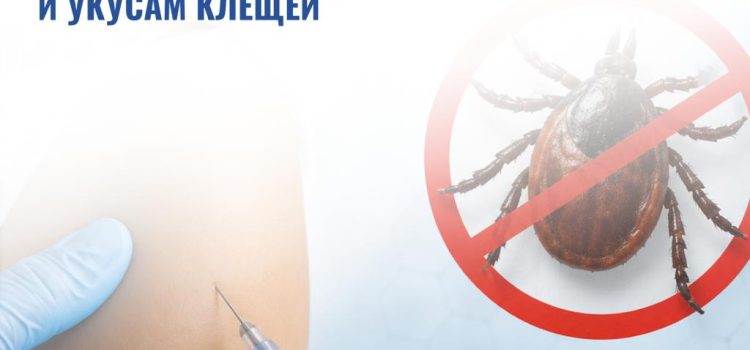 Горячая линия 1312: алматинцы могут получить консультацию по вакцинации и укусам клещей Горячая линия 1312: алматинцы могут получить консультацию по вакцинации и укусам клещей