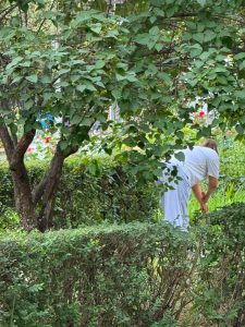 В Городской клинической больнице №1 Алматы состоялся очередной субботник