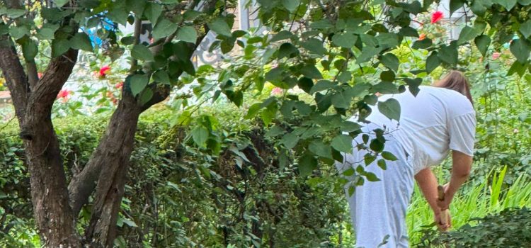 В Городской клинической больнице №1 Алматы состоялся очередной субботник